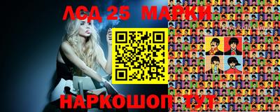 стаф Кимры