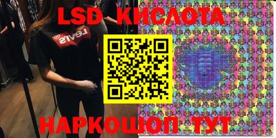 стаф Кимры