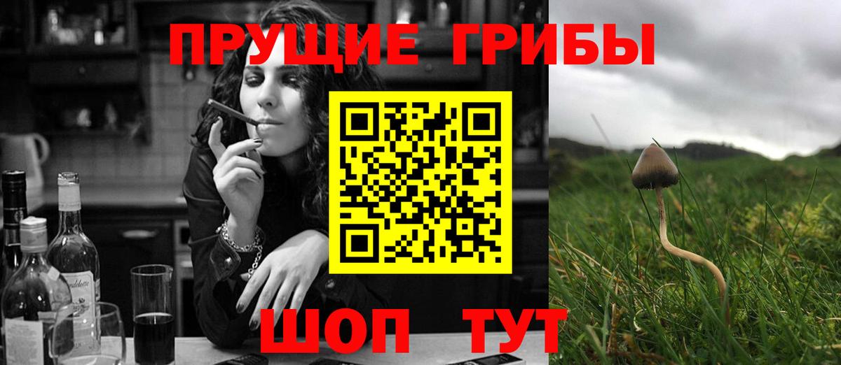 Галлюциногенные грибы Psilocybine cubensis  Вход с VPN  Камышлов 
