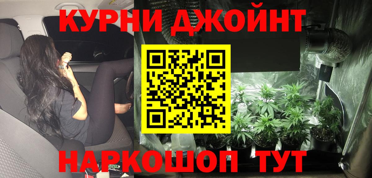 Камышлов  Бошки Шишки LSD WEED  Конопля SATIVA & INDICA  Вход с VPN 